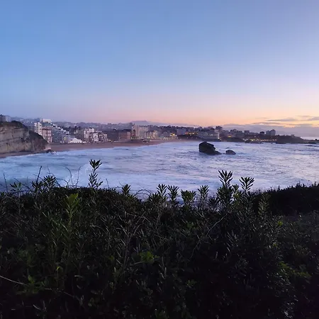 La Colline Bleue 公寓 *